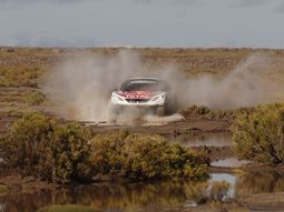 Loeb quedó primero tras las primeras 8 etapas Loeb quedó primero tras las primeras 8 etapas