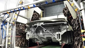 ford utiliza las plumas de emu para obtener un mejor acabado de pintura en sus vehiculos ford utiliza las plumas de emu para obtener un mejor acabado de pintura en sus vehiculos