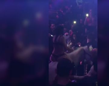 El caballo entró al boliche en medio de una fiesta llena de gente