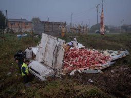 Mar del Plata: volcó un camión frigorífico y su carga quedó en la ruta