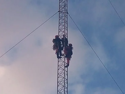 Cortesía 0223.com.ar