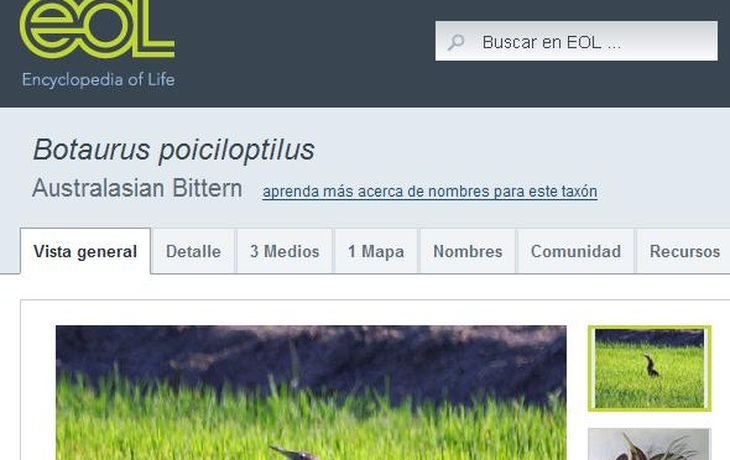Enciclopedia de la Vida