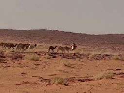 el momento limite que vivio en pleno dakar el argentino luciano benavides el momento limite que vivio en pleno dakar el argentino luciano benavides