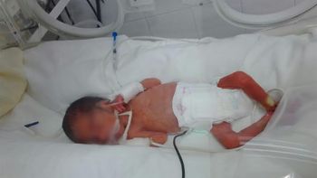 del dolor a la alegria: la increible historia del bebe que nacio muerto y revivio del dolor a la alegria: la increible historia del bebe que nacio muerto y revivio