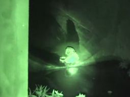 emocionante rescate a un perro que vivia en las alcantarillas emocionante rescate a un perro que vivia en las alcantarillas