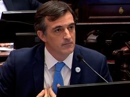 El rechazo de Bullrich al aborto: el confuso mensaje sobre el ADN de los chimpancés