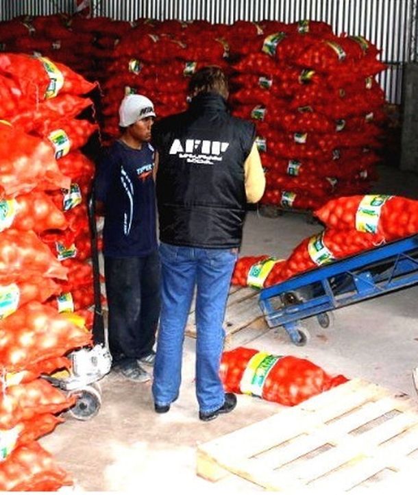 Detectaron una evasión millonaria en una exportadora