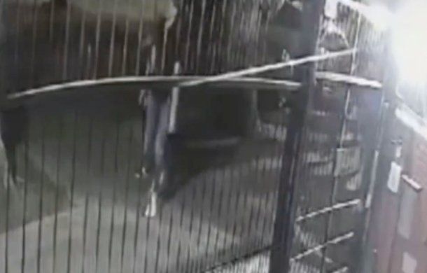 Filtraron el video de la fuga de los 17 presos de una comisaría de Liniers