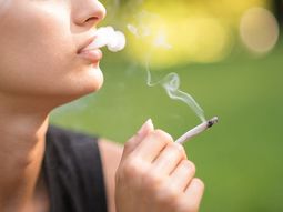 Entérate cuáles fueron las afirmaciones del IMSS respecto al consumo de cannabis. Entérate cuáles fueron las afirmaciones del IMSS respecto al consumo de cannabis.