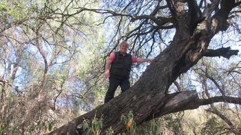 la fundacion alameda denuncio a stiusso por enriquecimiento ilicito la fundacion alameda denuncio a stiusso por enriquecimiento ilicito