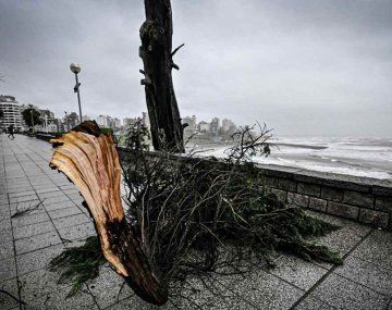 Alerta meteorológica en provincia de Buenos Aires para hoy: las ciudades afectadas