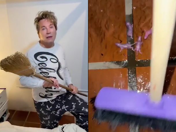 Guido Süller podría ser denunciado por maltrato animal tras grabarse matando ratas bebés