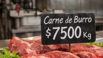 sorpresiva propuesta en chubut: una carniceria vende carne de burro a $7.500 el kilo sorpresiva propuesta en chubut: una carniceria vende carne de burro a $7.500 el kilo
