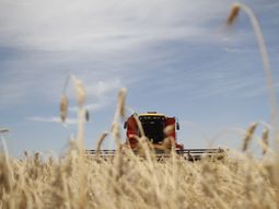 acuerdan con molineros subir la produccion de trigo acuerdan con molineros subir la produccion de trigo