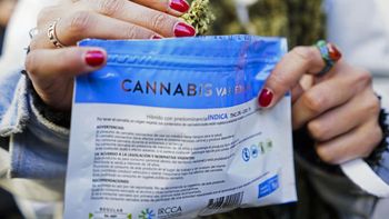 La industria uruguaya de cannabis atraviesa una crisis. La industria uruguaya de cannabis atraviesa una crisis.