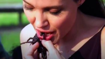 Angelina Jolie, comiendo arañas Angelina Jolie, comiendo arañas