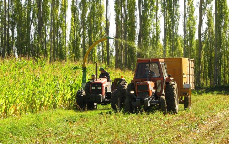 Por primera vez, la Argentina exporta maíz a China