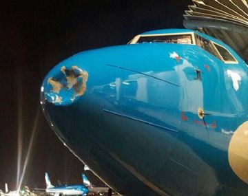 Susto en el aire: un pájaro golpeó a un avión en pleno vuelo y lo abolló