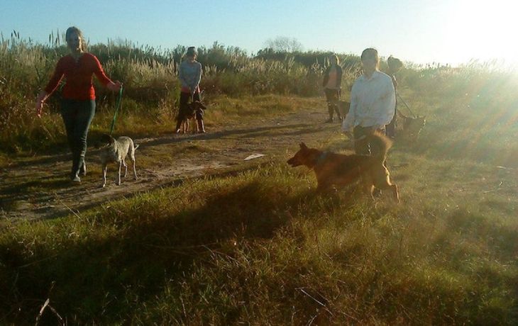 Quieren cerrar un refugio que alberga &nbsp;200 perros en Tres de Febrero&nbsp;