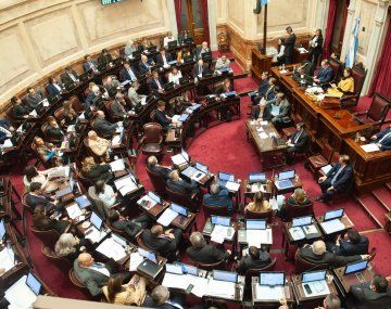 Qué senadores quisieron impedir la votación del rechazo al veto en Discapacidad