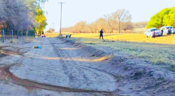 Un funcionario atropell&oacute; a un perro para asegurarse que muriera. Foto: Diario Pampero