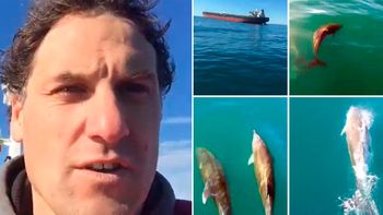 iba en un barco, encontro cinco delfines y lo transmitio en vivo desde facebook iba en un barco, encontro cinco delfines y lo transmitio en vivo desde facebook