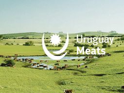 Uruguay Meats es la nueva marca con la que las carnes uruguayas serán promocionadas en el mundo. Uruguay Meats es la nueva marca con la que las carnes uruguayas serán promocionadas en el mundo.