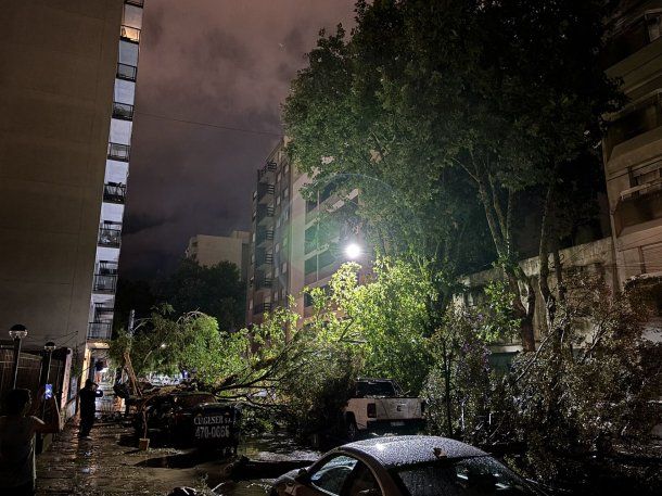 Impresionante tormenta con granizo azotó a Mar del Plata