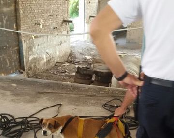 Gentileza diario Tiempo de San Juan.