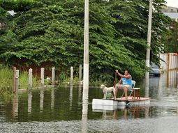 las lluvias en el sudeste de brasil dejan al menos 30 muertos y 49 mil evacuados las lluvias en el sudeste de brasil dejan al menos 30 muertos y 49 mil evacuados