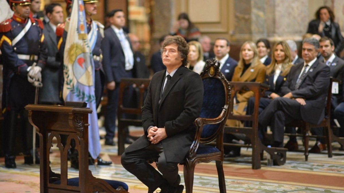 Javier Milei en el Tedeum