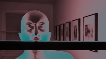 exposicion de bernardi roig en washington exposicion de bernardi roig en washington