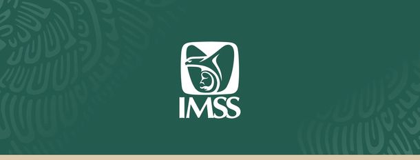 Checa lo que tiene para decir el IMSS.