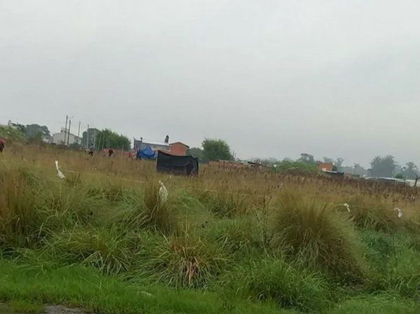 Nueva toma de terrenos en Mar del Plata: instalaron carpas y los vecinos piden ayuda
