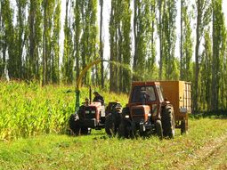 cerealeros rechazan recrear la junta nacional de granos cerealeros rechazan recrear la junta nacional de granos