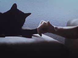 El video viral más emotivo: el ida y vuelta entre un gato y una mujer con Mal de Parkinson