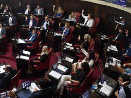 Reforma impositiva en la Provincia: qué cambios introdujo el Senado