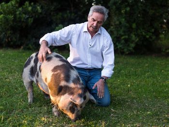 Felipe Solá y la Chancha Pelota