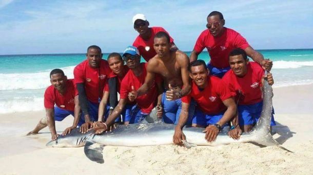 Como el delfín de Santa Teresita: sacaron un tiburón para sacarse selfies