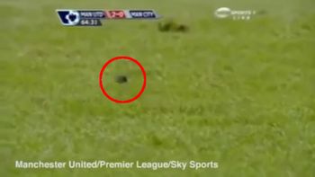 insolito: el estadio del manchester united fue invadido por ratones insolito: el estadio del manchester united fue invadido por ratones