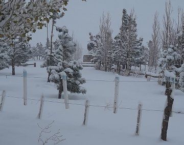 Ola polar: alertas por nevadas y vientos de 100 km/h para 5 provincias