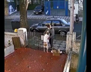 Miserable: un hombre le robó el abrigo de un perro en Lanús