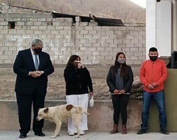 El video que se hizo viral: un perro callejero orinó a una intendenta en pleno acto