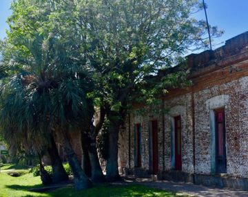 Descubrí Uruguay en 2026: los destinos rurales para conocer con detalle su cultura y paisajes