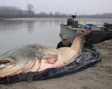 Foto gentileza The Sun