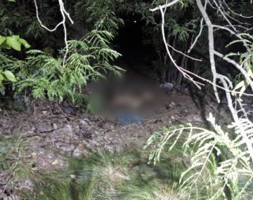 Encontraron un cuerpo calcinado en pastizales del Ceamse