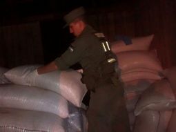 gendarmeria arresto a dos hombres que intentaban contrabandear soja a brasil gendarmeria arresto a dos hombres que intentaban contrabandear soja a brasil