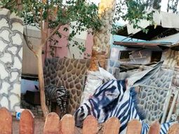 Estas son las cebras despintadas Estas son las cebras despintadas