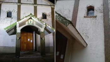 la curiosa invasion de chinches verdes en una iglesia de santa fe la curiosa invasion de chinches verdes en una iglesia de santa fe