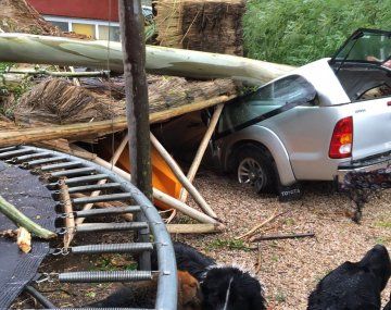 Avanza el ciclón extratropical: el alerta del SMN ya no es naranja